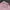 ANDERSON TYPE 1 SOFT PINK TRUCKER JACKET  photo 5