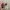 Starbucks Cold Cup Keychain Original photo 8