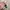 Starbucks Cold Cup Keychain Original photo 6