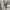 Celana Dickies Pants 874 second photo 3