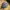 Maloja Pushbikers Snapback Hat Acrylic Wool Green Under Viso photo 4
