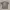 T-shirt Maryland XL photo 3
