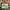 New Balance 2002R Rain Cloud Angora photo 4