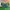 New Balance Fresh Foam LAZR Hyposkin photo 4