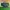 New Balance Fresh Foam LAZR Hyposkin photo 2