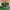 New Balance Fresh Foam LAZR Hyposkin photo 1