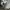 Casual Short Pria white photo 4