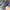 ADIDAS BERMUDA GREEN , ADIDAS BERMUDA , ADIDAS , SNEAKERS ,  photo 6