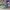 ADIDAS BERMUDA GREEN , ADIDAS BERMUDA , ADIDAS , SNEAKERS , 
