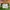 New Balance Vazee Running Shoes photo 4