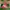 New Balance Vazee Running Shoes photo 2