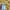 kaos kerah pria kuning CASTLE BACKERS casual formal shirt photo 4