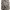 Pull & Bear Streetwear Biker Cardigan Pria multicolor photo 1