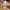 Pull & Bear Streetwear Biker Cardigan Pria multicolor photo 4