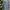 LEE Jeans gombrang baggy jeans fashion brand gombrang baggy photo 6