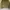 thanksinsomnia jacket green photo 1