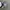 Vintage Other Pria black gray photo 8