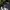 Wrangler MWZ Jeans gombrang baggy jeans fashion brand photo 1