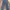 Sustory photo 5