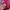 Tractop Converse  photo 6
