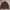MALE & CO CAFERACER LEATHER JACKET | BIKER | CASUAL | OUTER photo 1