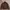 MALE & CO CAFERACER LEATHER JACKET | BIKER | CASUAL | OUTER