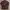 MALE & CO CAFERACER LEATHER JACKET | BIKER | CASUAL | OUTER photo 8