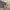 Tractop hill crop  photo 5