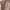 Luxury Evening dress Wanita pink photo 3