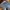  Celana jeans gu ripped photo 3