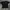 Maison Kitsune Fox Logo Kaos T Shirt photo 1