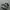 nike jordan photo 1