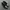 nike jordan photo 3