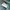 Thisisneverthat Overdyed Twill Shirt Emerald photo 4