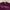 Aries Arise No Problemo Crewneck Burgundy photo 2