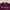 Aries Arise No Problemo Crewneck Burgundy