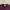 Aries Arise No Problemo Crewneck Burgundy photo 3