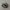 Salomon XT 6 Gore-Tex Black Lunar Rock photo 2