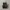 Salomon XT 6 Gore-Tex Black Lunar Rock photo 5