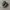 Salomon XT 6 Gore-Tex Black Lunar Rock photo 1