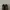 New Balance 1000 Aime Leon Dore Black photo 3