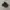 New Balance 1000 Aime Leon Dore Black photo 1