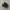 New Balance 1000 Aime Leon Dore Black