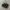 New Balance 1000 Aime Leon Dore Black photo 2