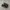 Nike P-6000 Triple Black photo 2