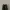 Nike P-6000 Triple Black photo 3