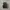Nike P-6000 Triple Black photo 5
