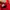 Puma Speedcat Red White photo 6