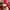 Vans Authentic Classic Red White photo 6