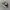 Vans Skool Knu Black White photo 1